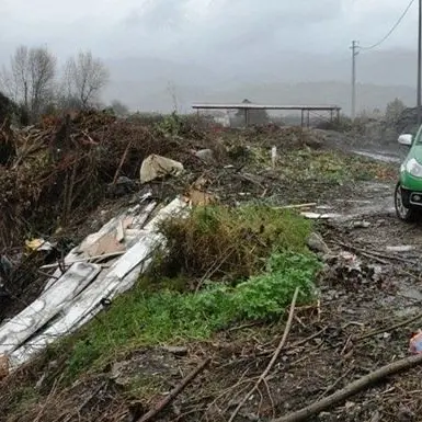 Rende, furto di piante lungo il torrente Settimo: sequestri e denunce