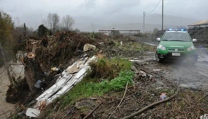 Rende, furto di piante lungo il torrente Settimo: sequestri e denunce