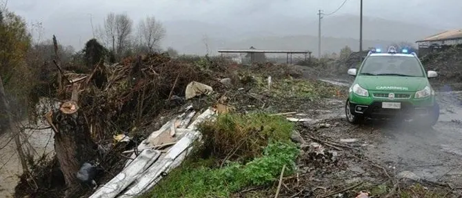 Rende, furto di piante lungo il torrente Settimo: sequestri e denunce