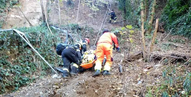 Si getta da un viadotto sulla A2, donna salva grazie agli alberi