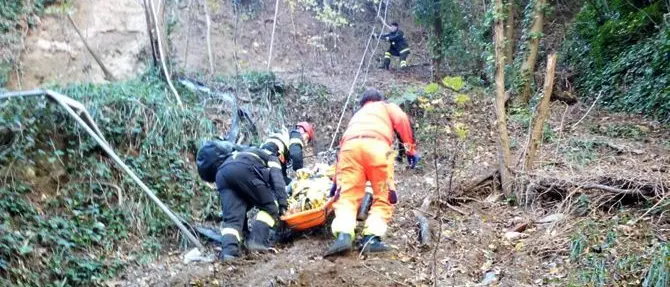 Si getta da un viadotto sulla A2, donna salva grazie agli alberi