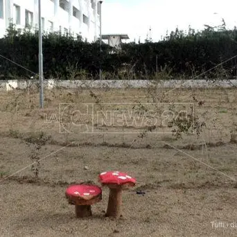 Lamezia, nel reparto di Psichiatria il giardino per ritrovare i pensieri perduti