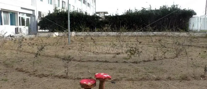 Lamezia, nel reparto di Psichiatria il giardino per ritrovare i pensieri perduti