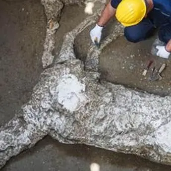 Nuova scoperta a Pompei, ritrovato lo scheletro di un cavallo morto insieme al padrone