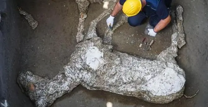 Nuova scoperta a Pompei, ritrovato lo scheletro di un cavallo morto insieme al padrone