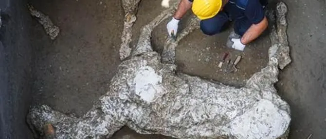 Nuova scoperta a Pompei, ritrovato lo scheletro di un cavallo morto insieme al padrone