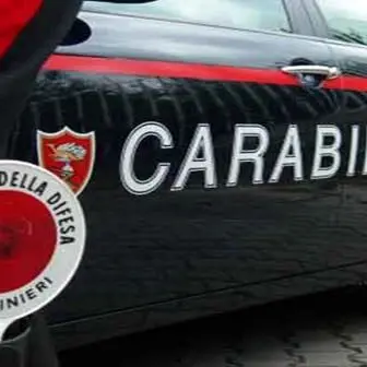 Carabinieri gli sequestrano il furgone, ambulante li aggredisce