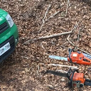 Sorpresi a tagliare legname nel bosco, tre arresti a Cerzeto