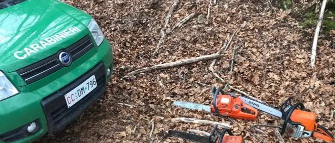 Sorpresi a tagliare legname nel bosco, tre arresti a Cerzeto