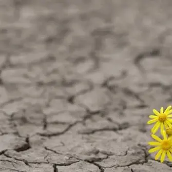 Che sia un 2019 all’insegna delle tre “S”