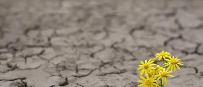 Che sia un 2019 all’insegna delle tre “S”