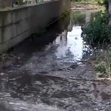 Il torrente è invaso dalla fogna, la rabbia dei residenti a Bivona