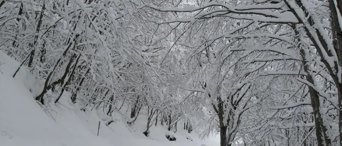 Maltempo, arriva il grande freddo. Venti polari e nevicate anche in Calabria