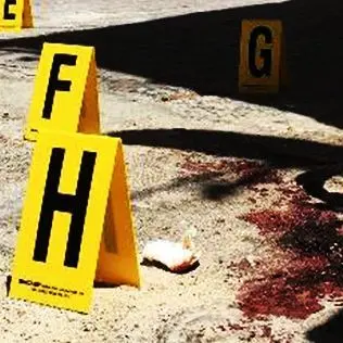 Escalation criminale nel Crotonese, nel mirino ancora un allevatore: uccisi cinque cavalli
