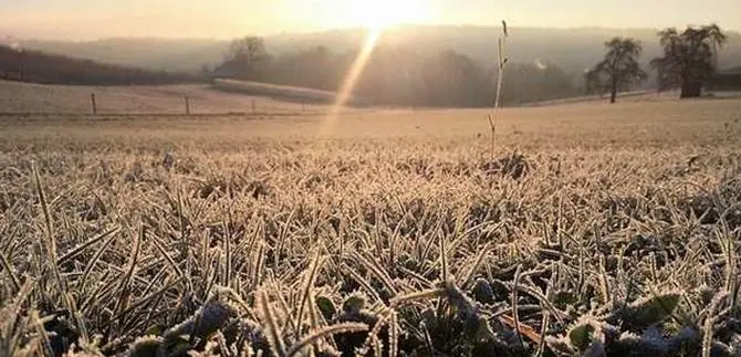 Gelo e neve, Coldiretti: «Danni all'agricoltura per 14 miliardi di euro»