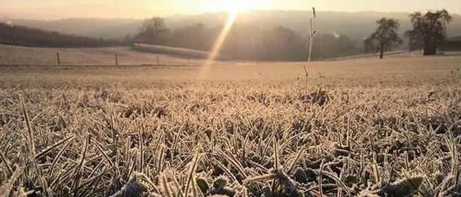 Gelo e neve, Coldiretti: «Danni all'agricoltura per 14 miliardi di euro»