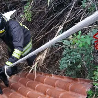 Cane scompare per giorni, salvato dai vigili del fuoco