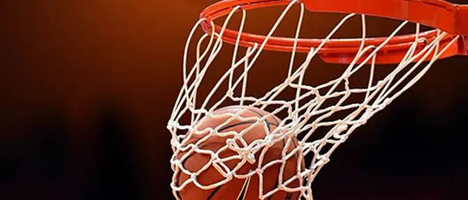 Basket: nominato il liquidatore della Viola, cambiate denominazione e sede