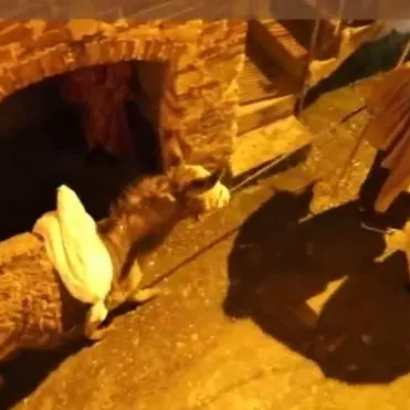 A Melicuccà di Dinami il presepe vivente “come a Betlemme”
