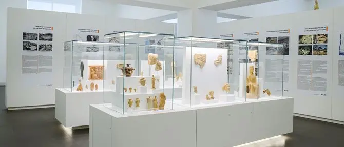Al via la nuova stagione culturale al Museo archeologico di Reggio