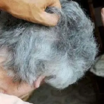 Anziane picchiate e rapinate in casa, un arresto nel Catanzarese