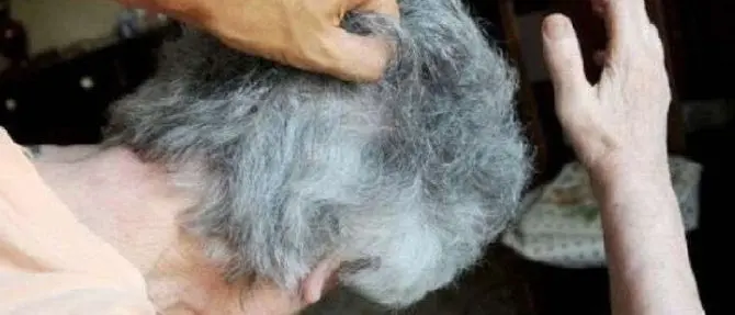 Anziane picchiate e rapinate in casa, un arresto nel Catanzarese