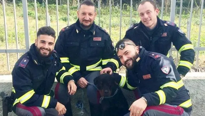 Cucciolo di rottweiler salvato lungo il tratto vibonese dell’A2