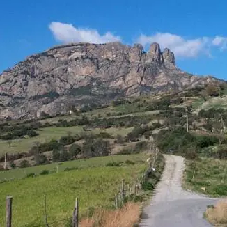 Proroga dei contratti per i lavoratori del Parco nazionale dell'Aspromonte