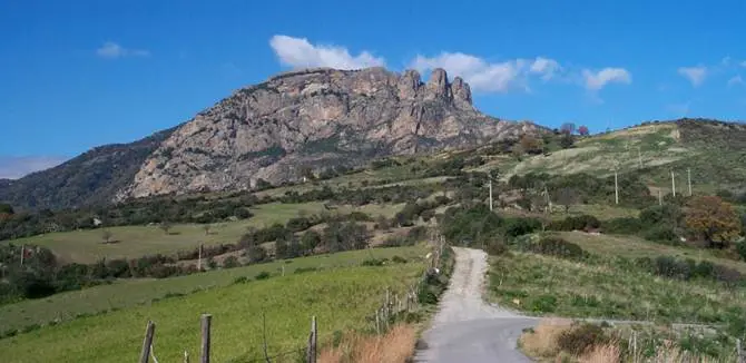 Proroga dei contratti per i lavoratori del Parco nazionale dell'Aspromonte