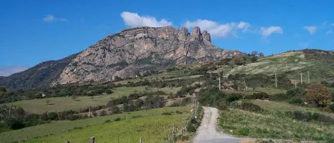 Proroga dei contratti per i lavoratori del Parco nazionale dell'Aspromonte