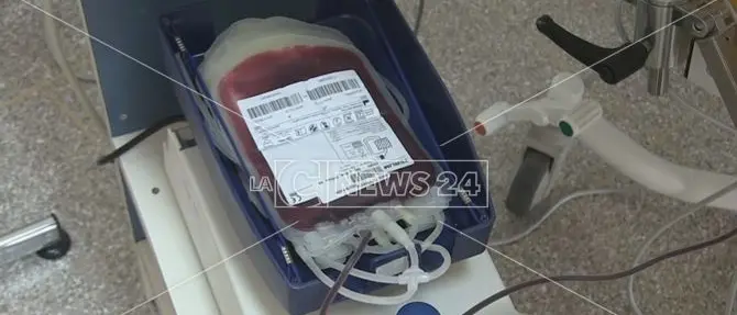 Donare il sangue, un piccolo gesto che può salvare tante vite