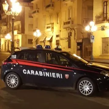 Calci e pugni ai carabinieri, in manette giovane lametino