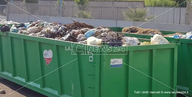 Vibo, 50 tonnellate di umido finiscono in discarica tra l'indifferenziata