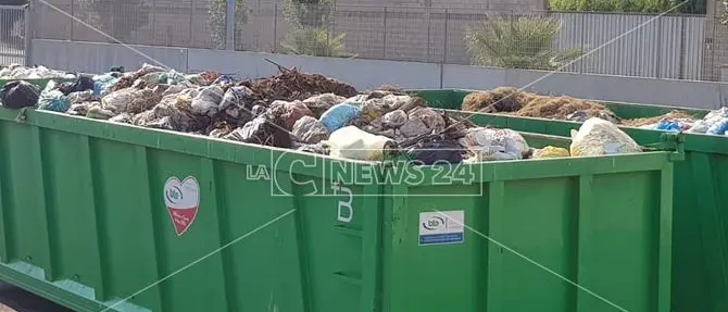 Vibo, 50 tonnellate di umido finiscono in discarica tra l'indifferenziata