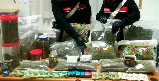 Lamezia, arrestato commerciante di cannabis light: valori oltre i limiti