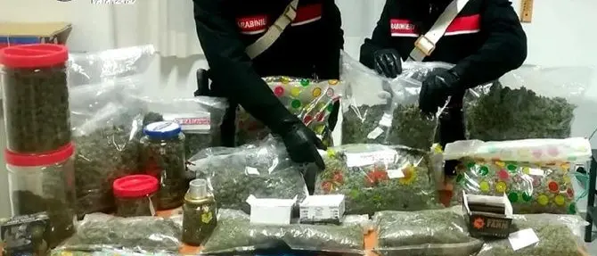 Lamezia, arrestato commerciante di cannabis light: valori oltre i limiti