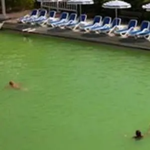 Ore di ansia per le sorti delle Terme Luigiane e di 250 lavoratori