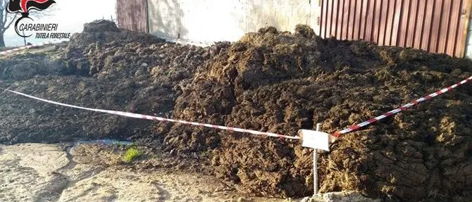 Rifiuti speciali non smaltiti, denunciato il titolare di un'azienda agricola