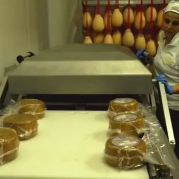 Dalla Calabria al mondo, il modello d'impresa Fattoria della Piana in tv