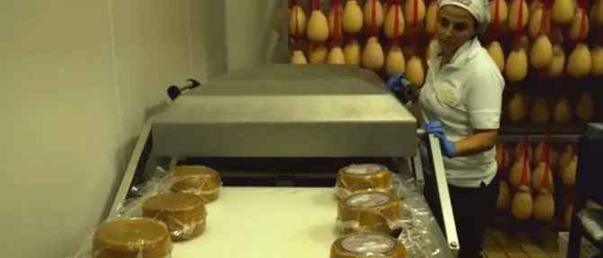 Dalla Calabria al mondo, il modello d'impresa Fattoria della Piana in tv