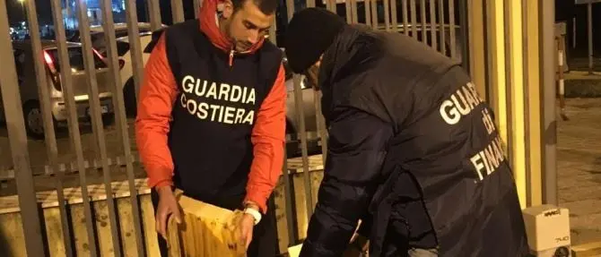Villa San Giovanni, diretti in Sicilia oltre 4 quintali di bianchetto: sequestrati