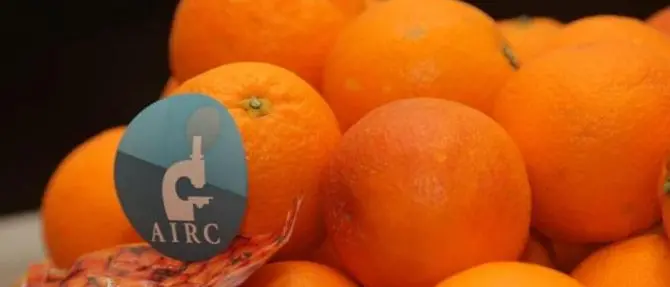 Airc: “le arance della salute” tornano nelle piazze calabresi