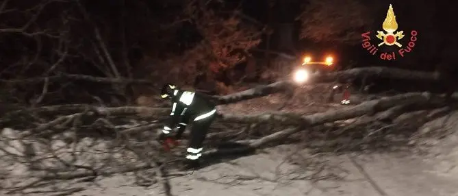 Cadono due alberi e tranciano cavi elettrici, disagi a Taverna