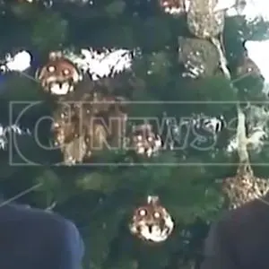 Cotticelli e Schael ancora senza uffici. Alla Cittadella non c'è spazio per loro