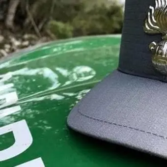 Casali del Manco, taglio di alberi senza autorizzazioni: due denunce