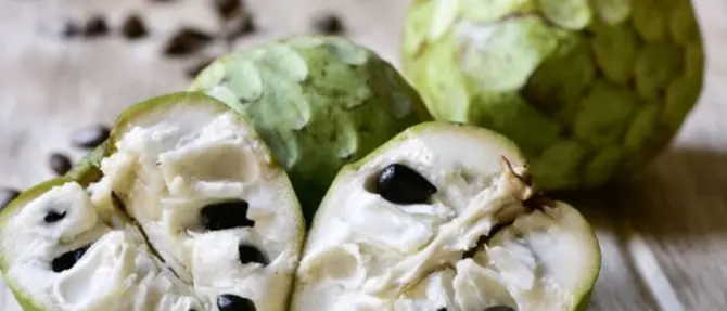 L’annona di Reggio protagonista su una rivista nazionale di gelato