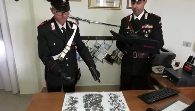 Cosparge la strada di chiodi per vendicarsi, denunciato