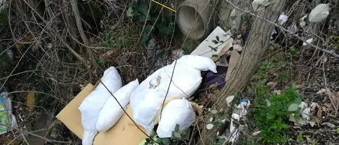 Rifiuti ed eternit lungo la provinciale che conduce a Verbicaro