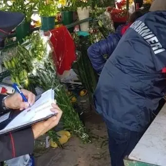 Catanzaro, ruba fiori al cimitero: denunciato un 45enne