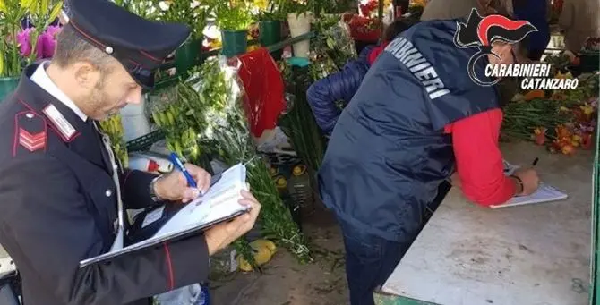 Catanzaro, ruba fiori al cimitero: denunciato un 45enne